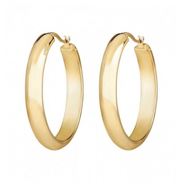 Buy Breil Ladies Earrings Join Up TJ3037