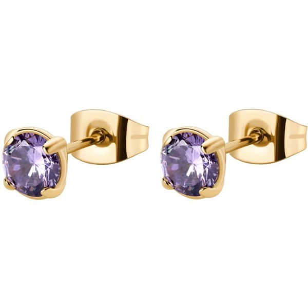 Buy Brosway Ladies Earrings Desideri BEIE009