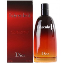 dior fahrenheit 100ml edt spray